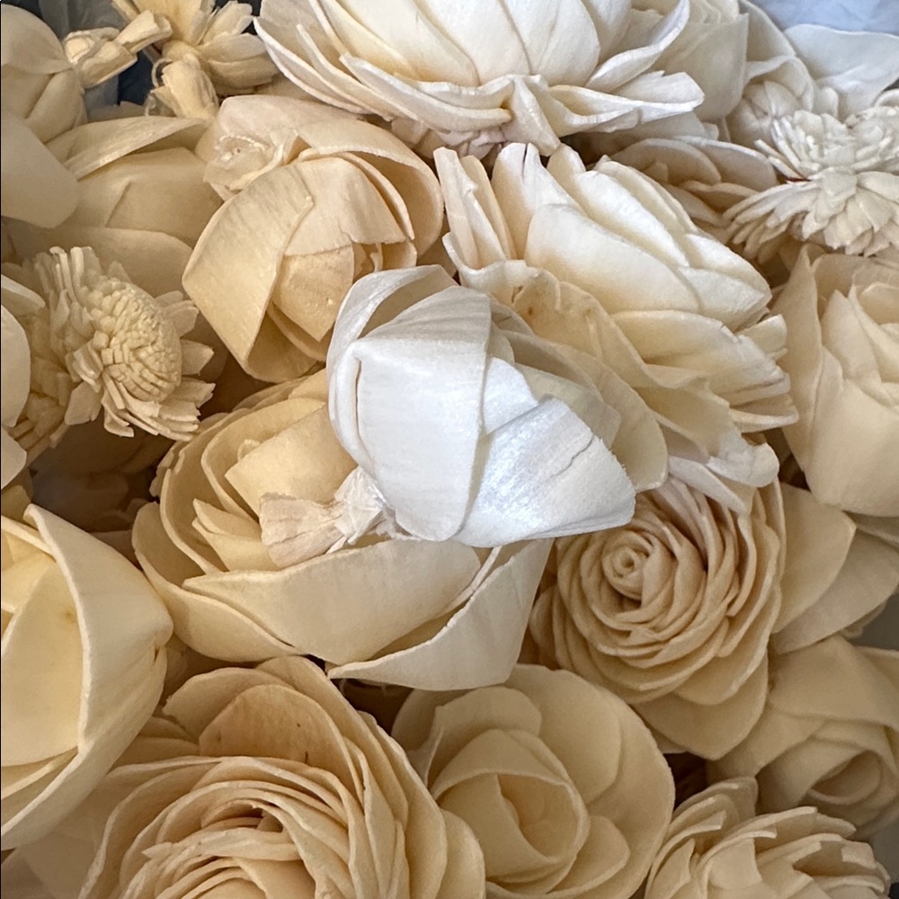 Wood Sola Flowers - assorted bag of 25 for weddings crafts wreaths - Picture 9 of 12